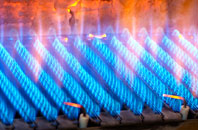 Trantlebeg gas fired boilers